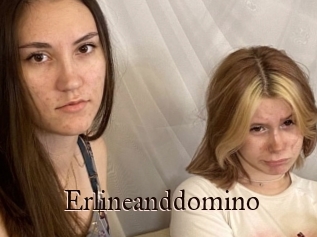 Erlineanddomino
