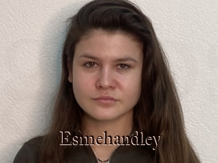 Esmehandley