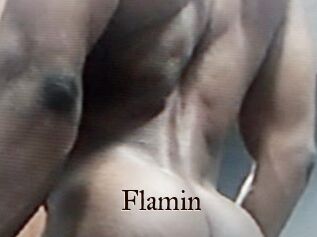 Flamin