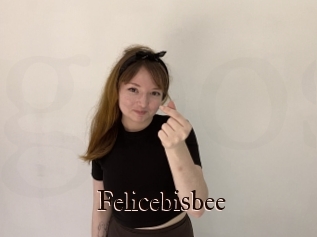 Felicebisbee