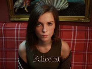 Felicecat