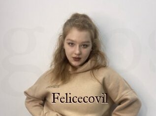 Felicecovil