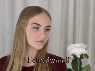 Felicedwinell