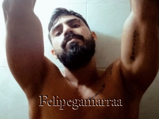 Felipegamarraa