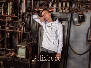 Felixburt