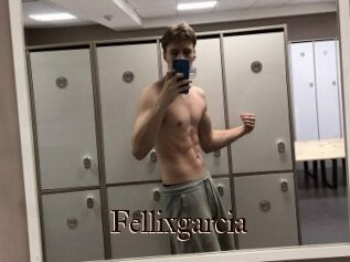 Fellixgarcia