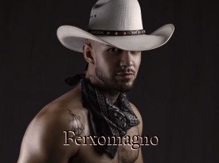 Ferxomagno