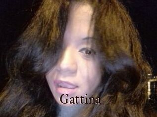 Gattina