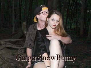 GingerSnowBunny