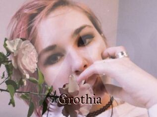 Grothia