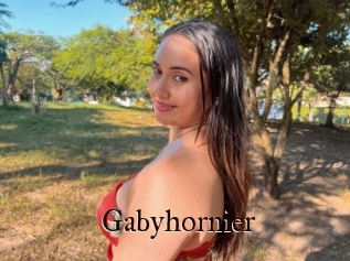 Gabyhornier
