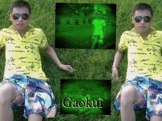 Gaokui