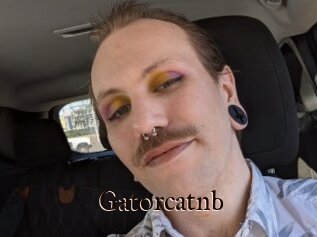 Gatorcatnb