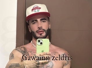Gawainn_zeldris