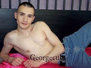 Georgecub