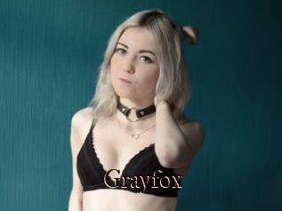 Grayfox