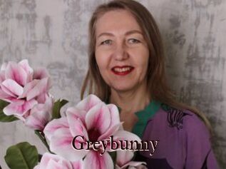 Greybunny