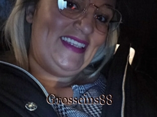 Grosseins88