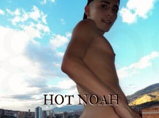 HOT_NOAH