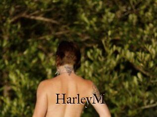 HarleyM