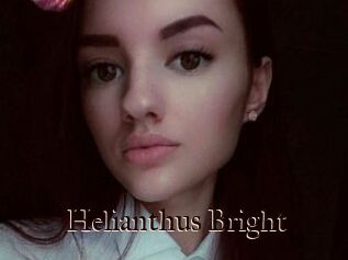 Helianthus_Bright