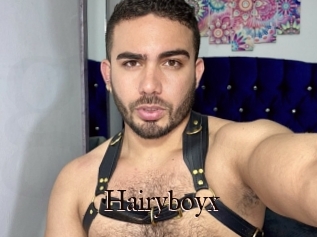 Hairyboyx