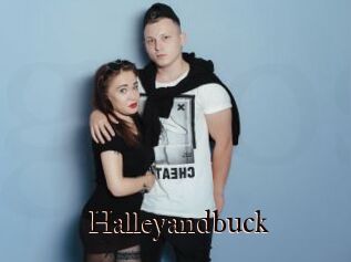 Halleyandbuck