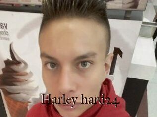 Harley_hard24