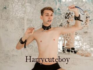 Harrycuteboy