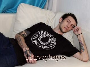 Harveyhayes