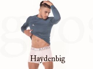 Haydenbig
