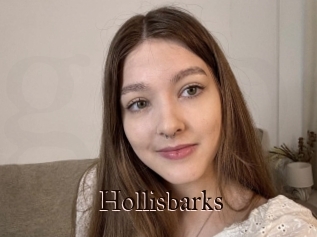 Hollisbarks