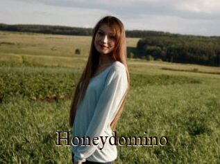 Honeydomino