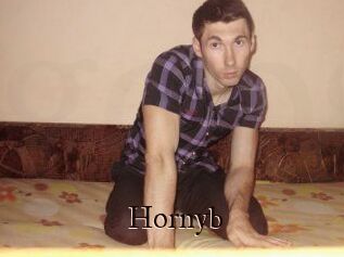 Hornyb