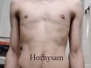Hornysam