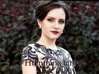 Humming_bird