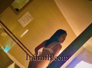 IndianBloom