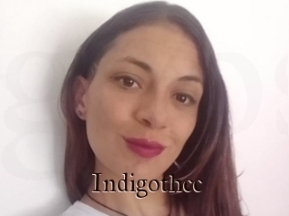 Indigothcc