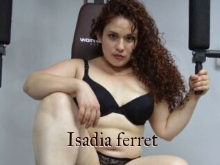Isadia_ferret