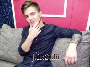 JakeSulii