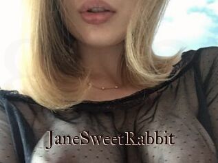 JaneSweetRabbit