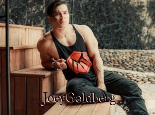 JoeyGoldberg