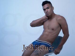 JoshBlomer