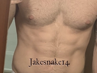 Jakesnake14