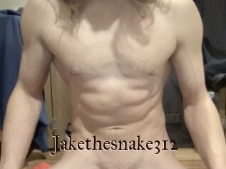 Jakethesnake312