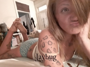 Jaybug