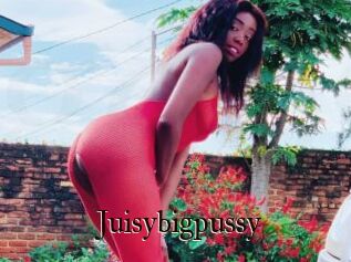 Juisybigpussy