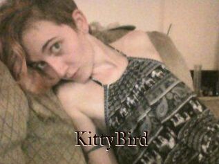KittyBird