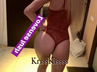 KrissKissss