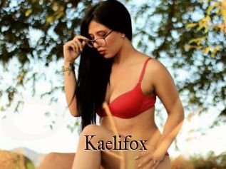Kaelifox